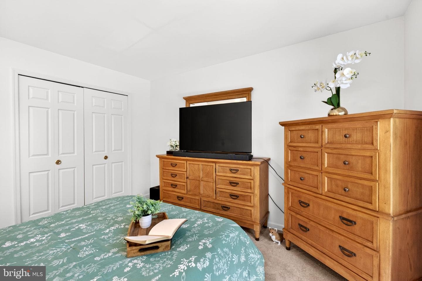 12135 Gray Star Way photo 55