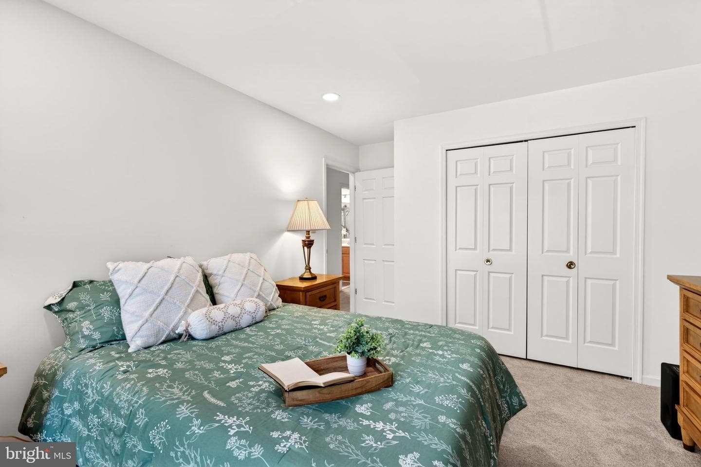 12135 Gray Star Way photo 56