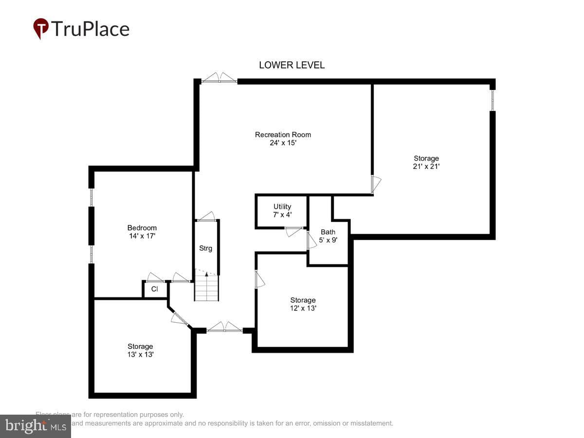 9909 Midsummer Snow Lane photo 76