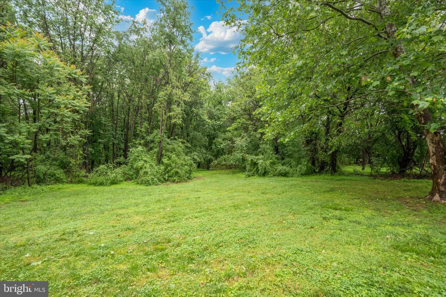 18400 New Cut Road photo 75