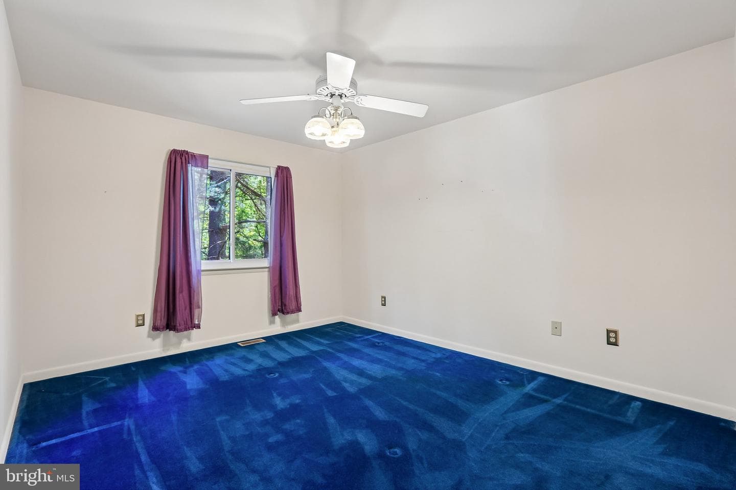 11715 Lightfall Court photo 9