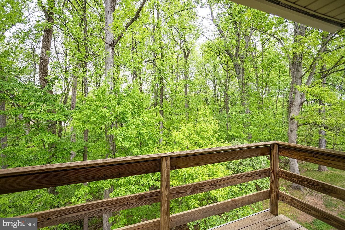 11430 Little Patuxent Parkway #807 photo 26