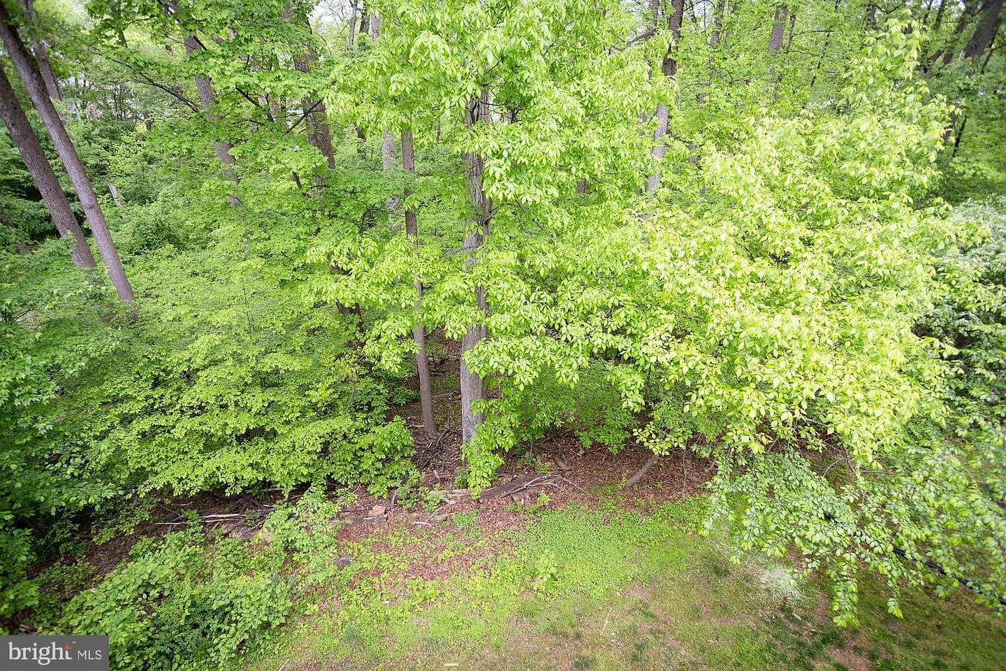 11430 Little Patuxent Parkway #807 photo 28