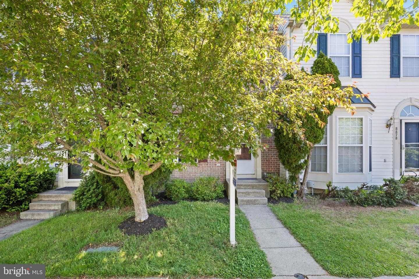 8880 Papillon Drive photo 4