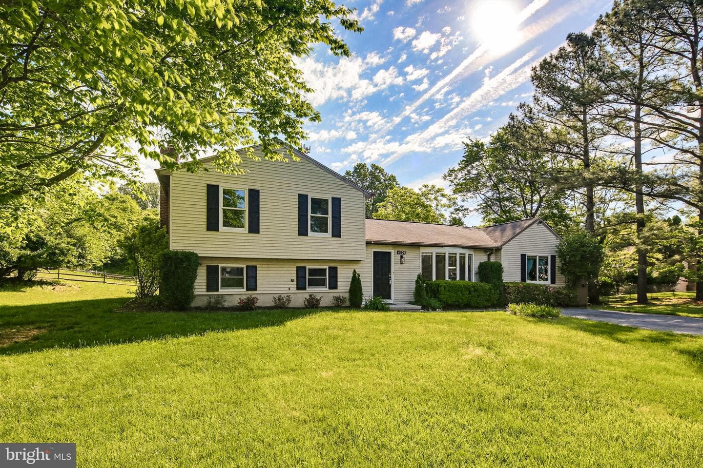 4709 Hale Haven Drive photo 3