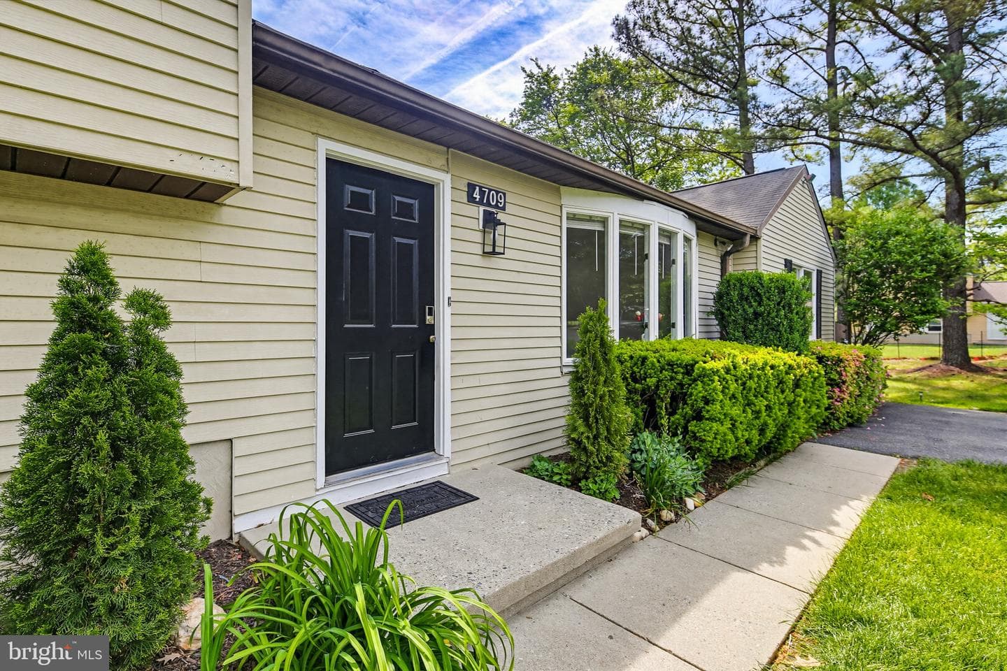 4709 Hale Haven Drive photo 4