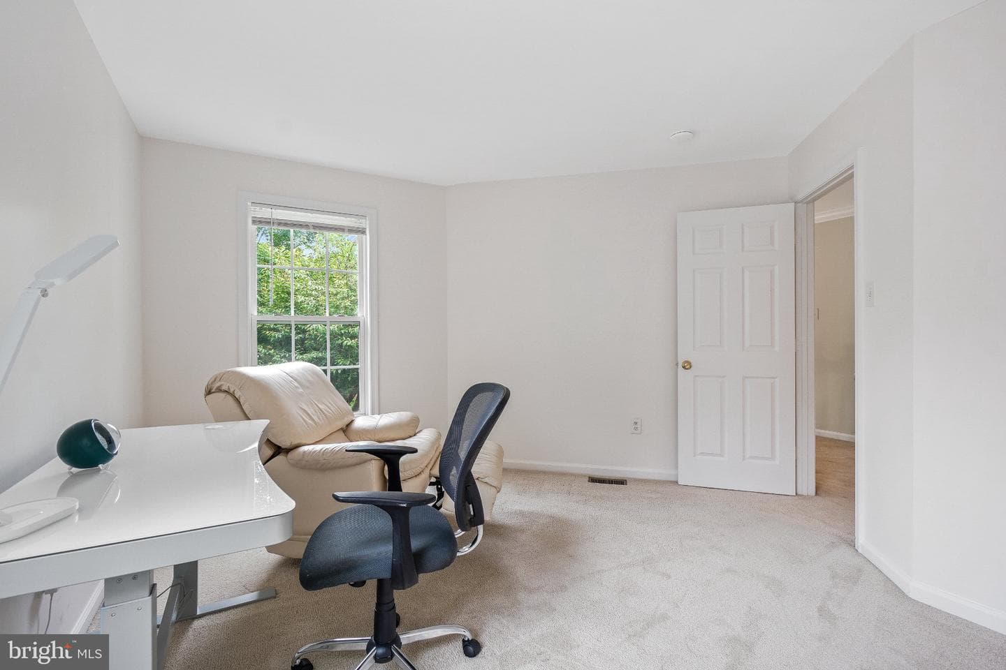 6217 Lilac Bush Lane photo 39