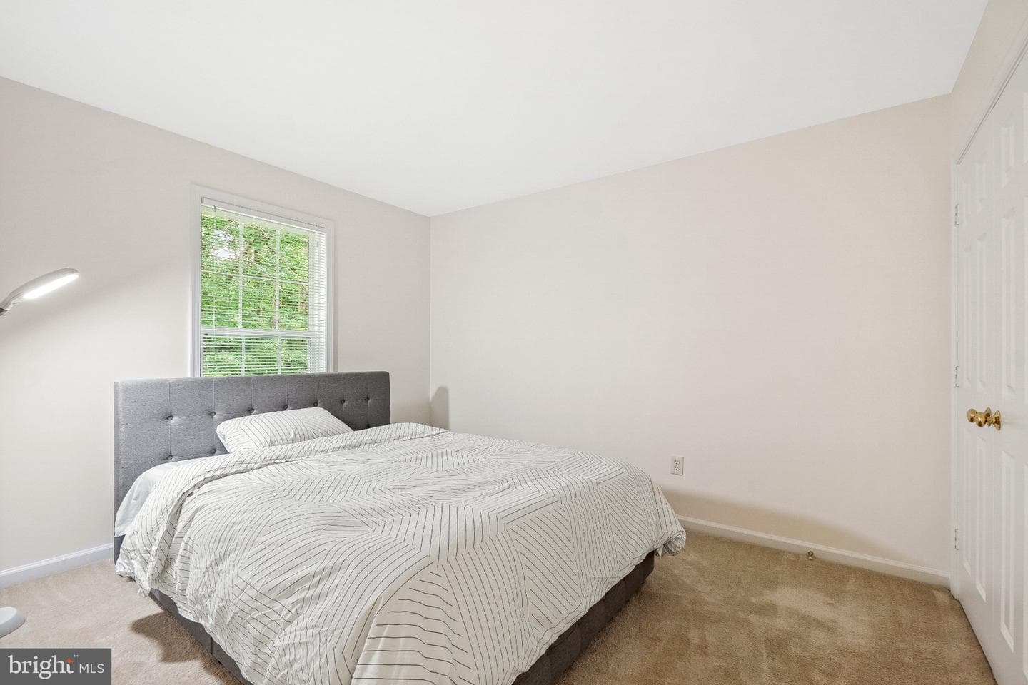 6217 Lilac Bush Lane photo 42