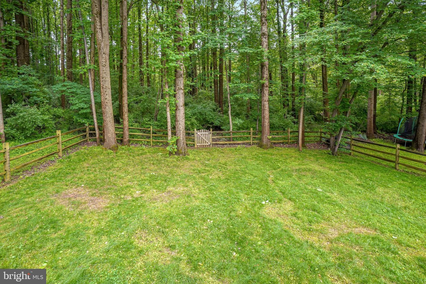 6217 Lilac Bush Lane photo 57