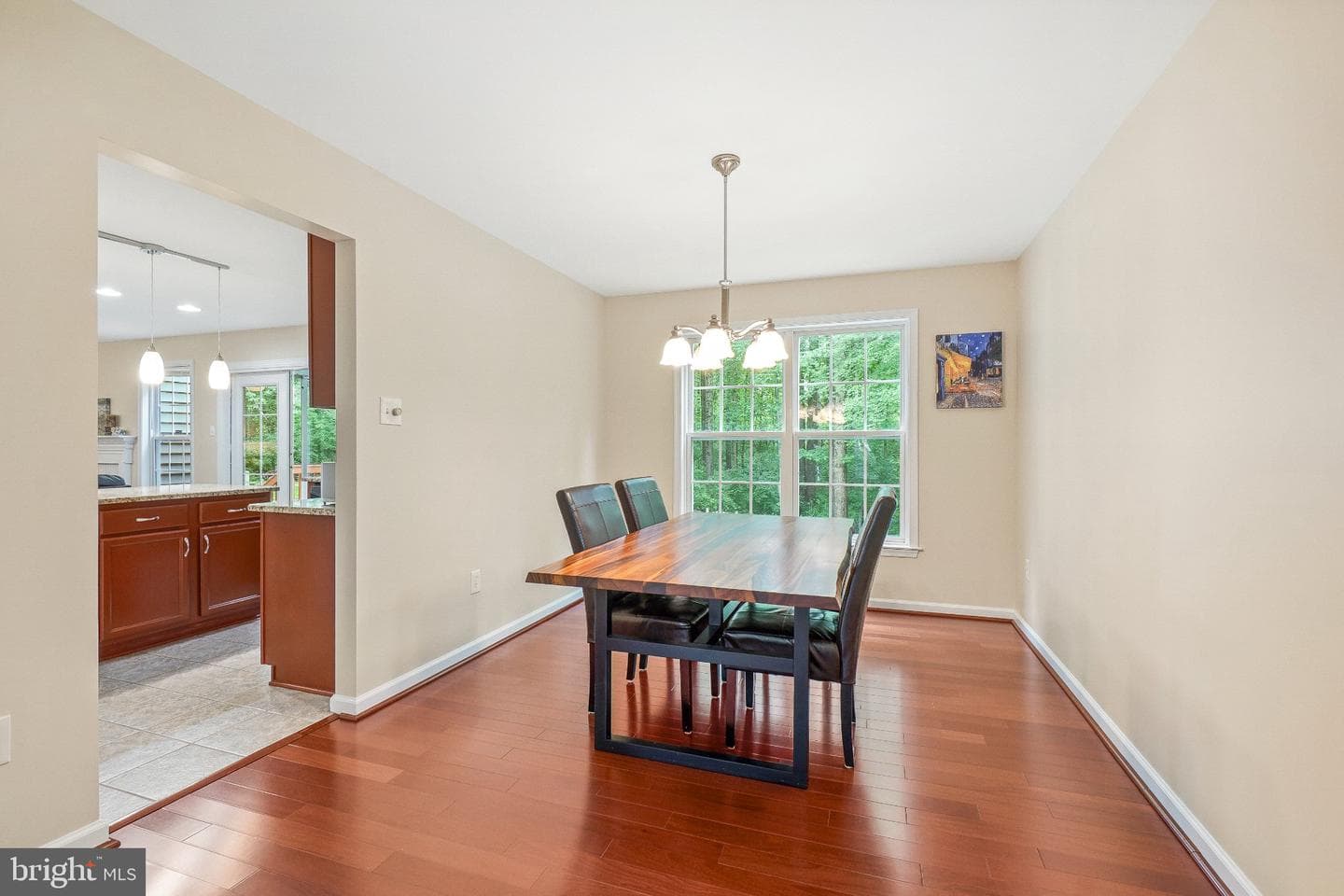 6217 Lilac Bush Lane photo 9