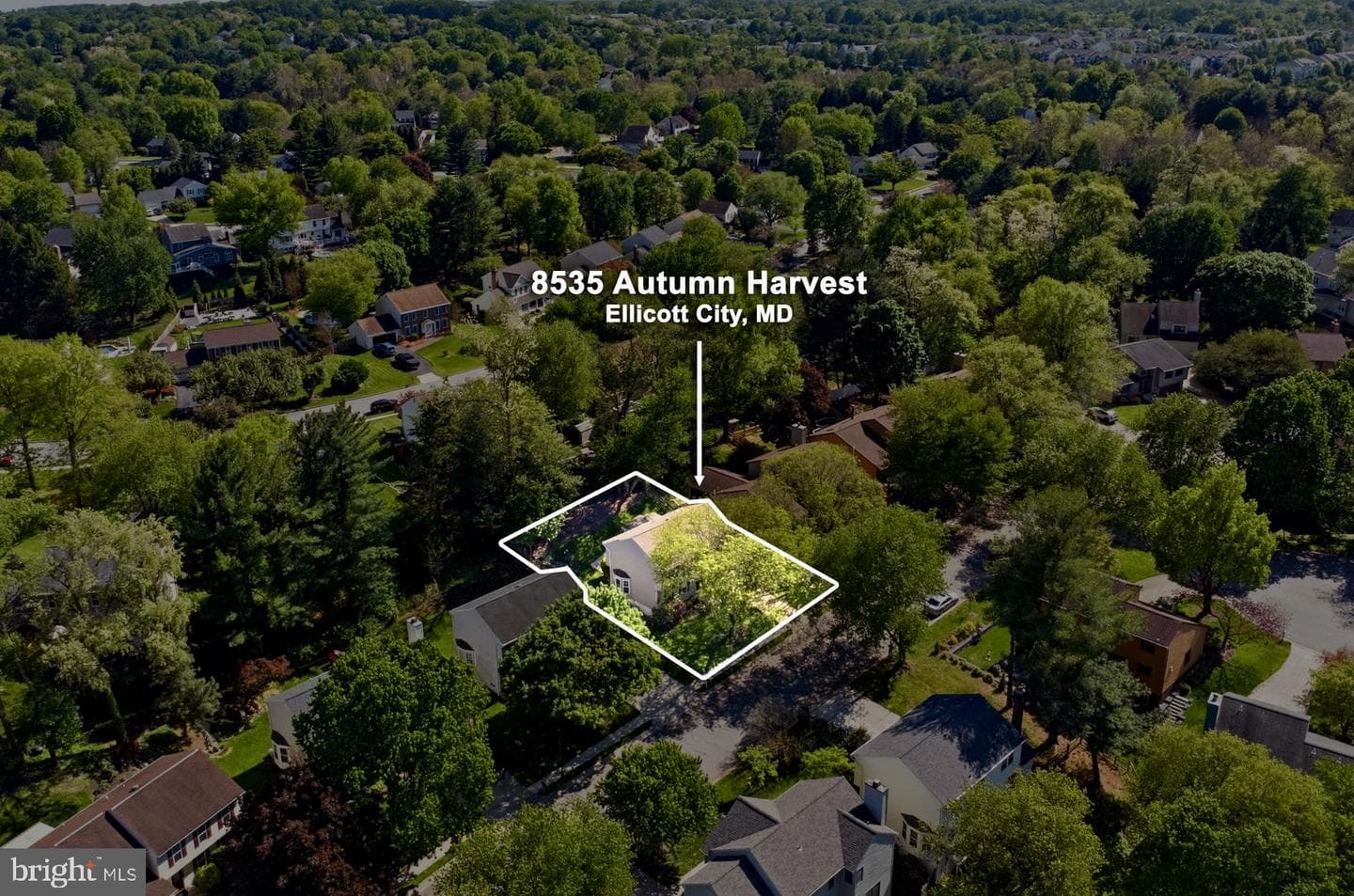 8535 Autumn Harvest photo 52