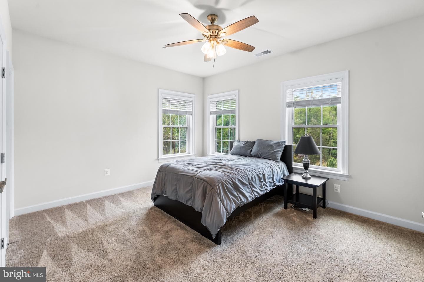 12201 Mayapple Drive photo 47