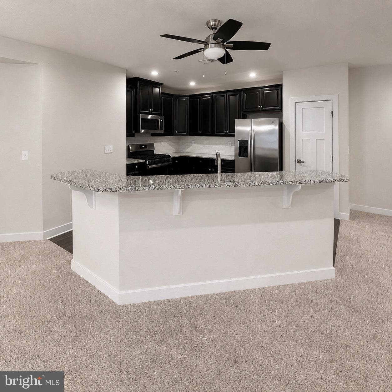 10110 Seattle Slew Lane #c photo 17