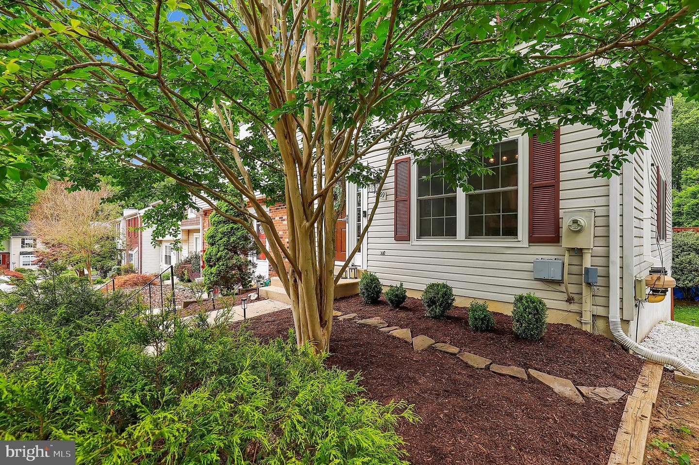11769 Lone Tree Court photo 3