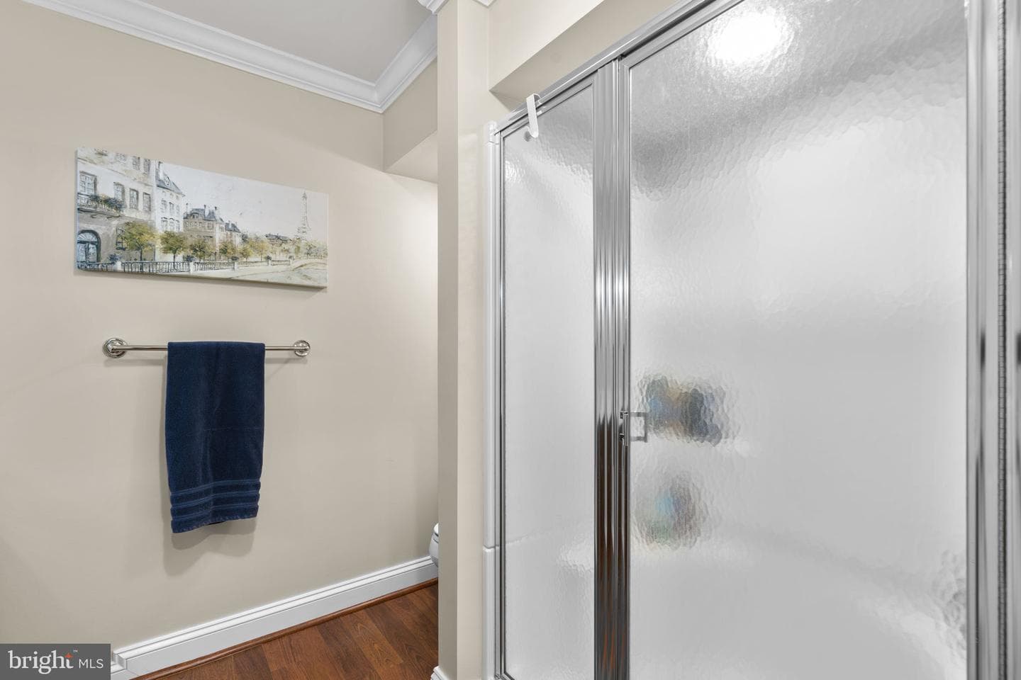 12319 Fawn River Way photo 63