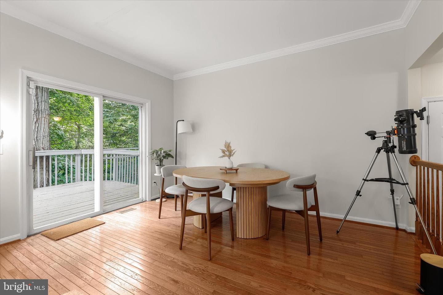 6420 Ivy Terrace photo 13
