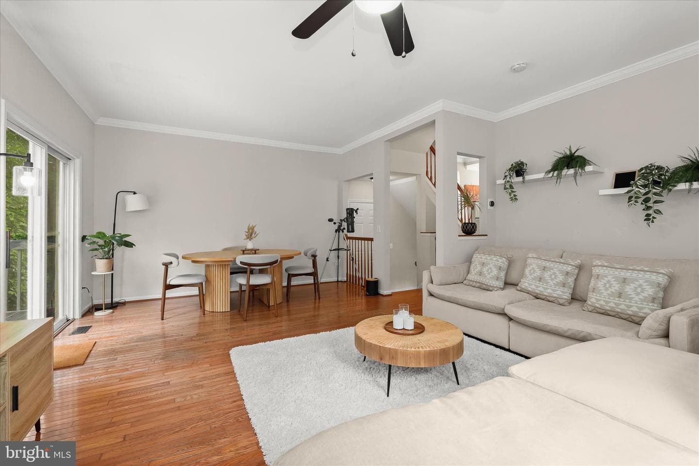 6420 Ivy Terrace photo 3