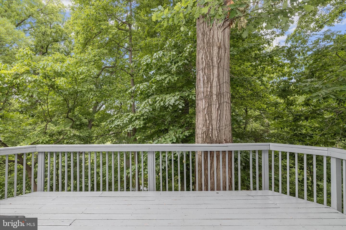 6420 Ivy Terrace photo 42