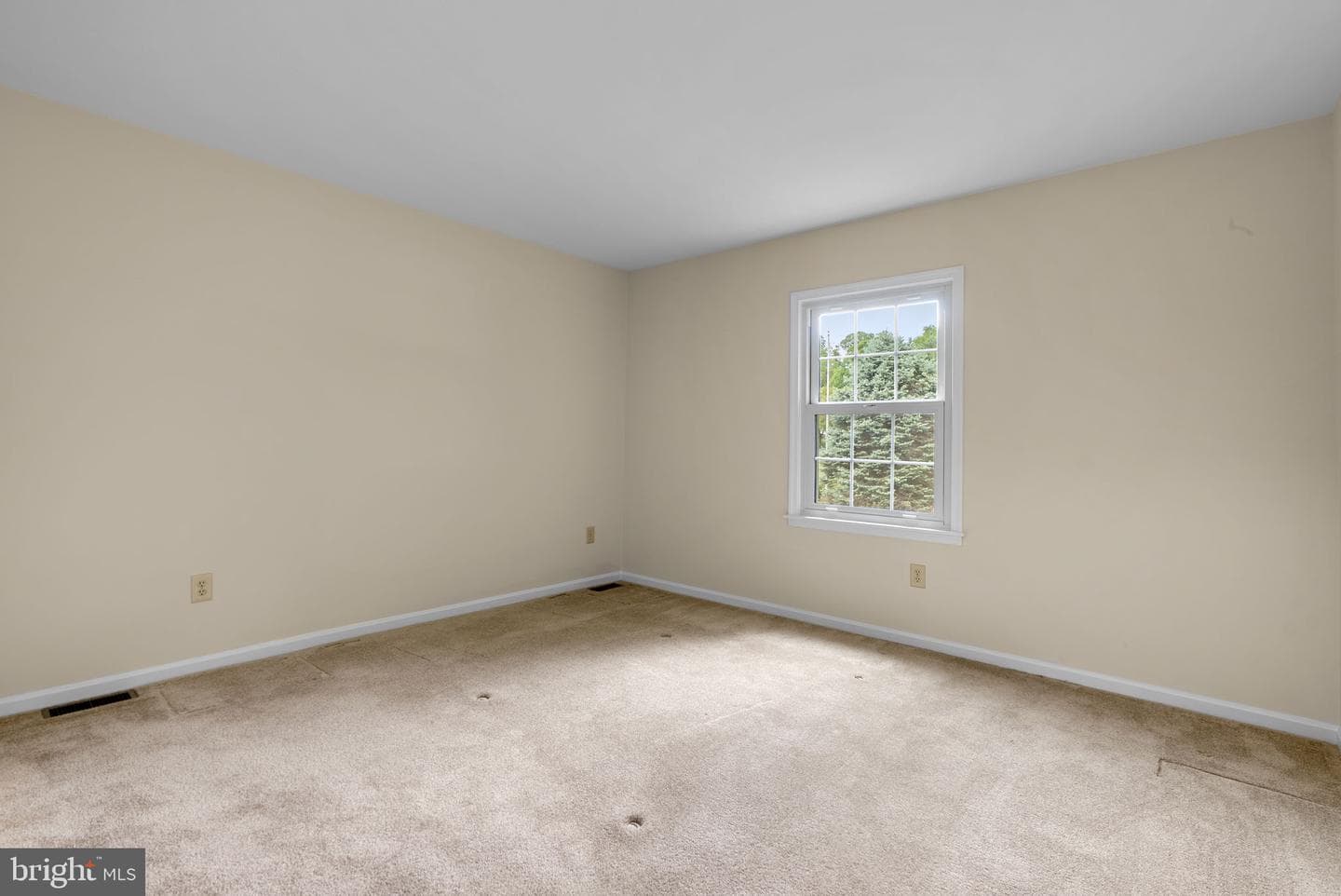 17513 Country View Way photo 35