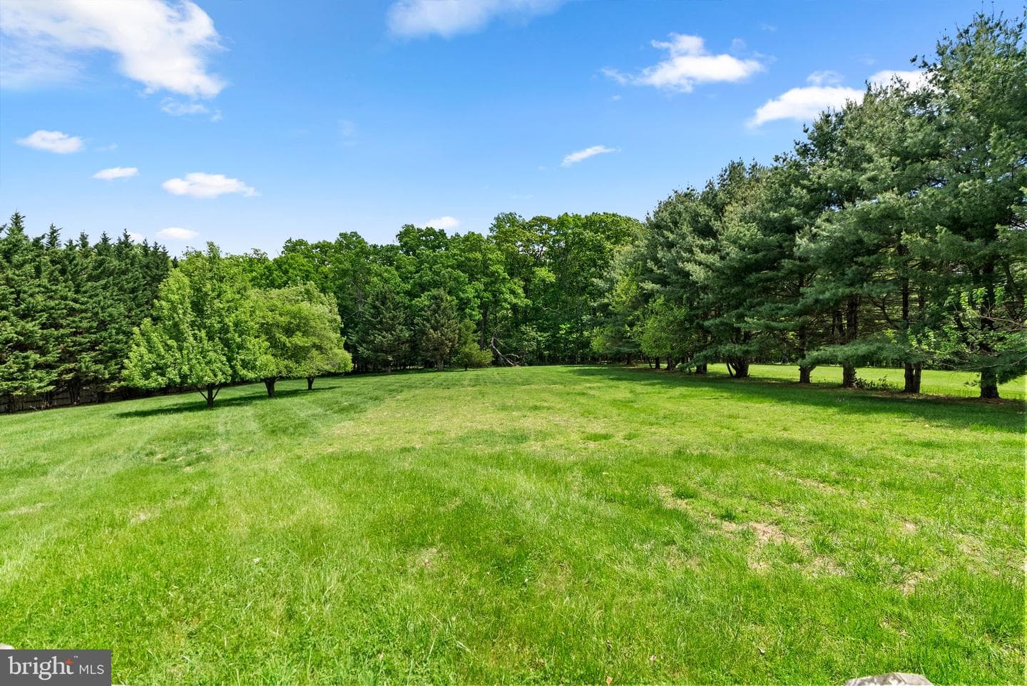 17513 Country View Way photo 58