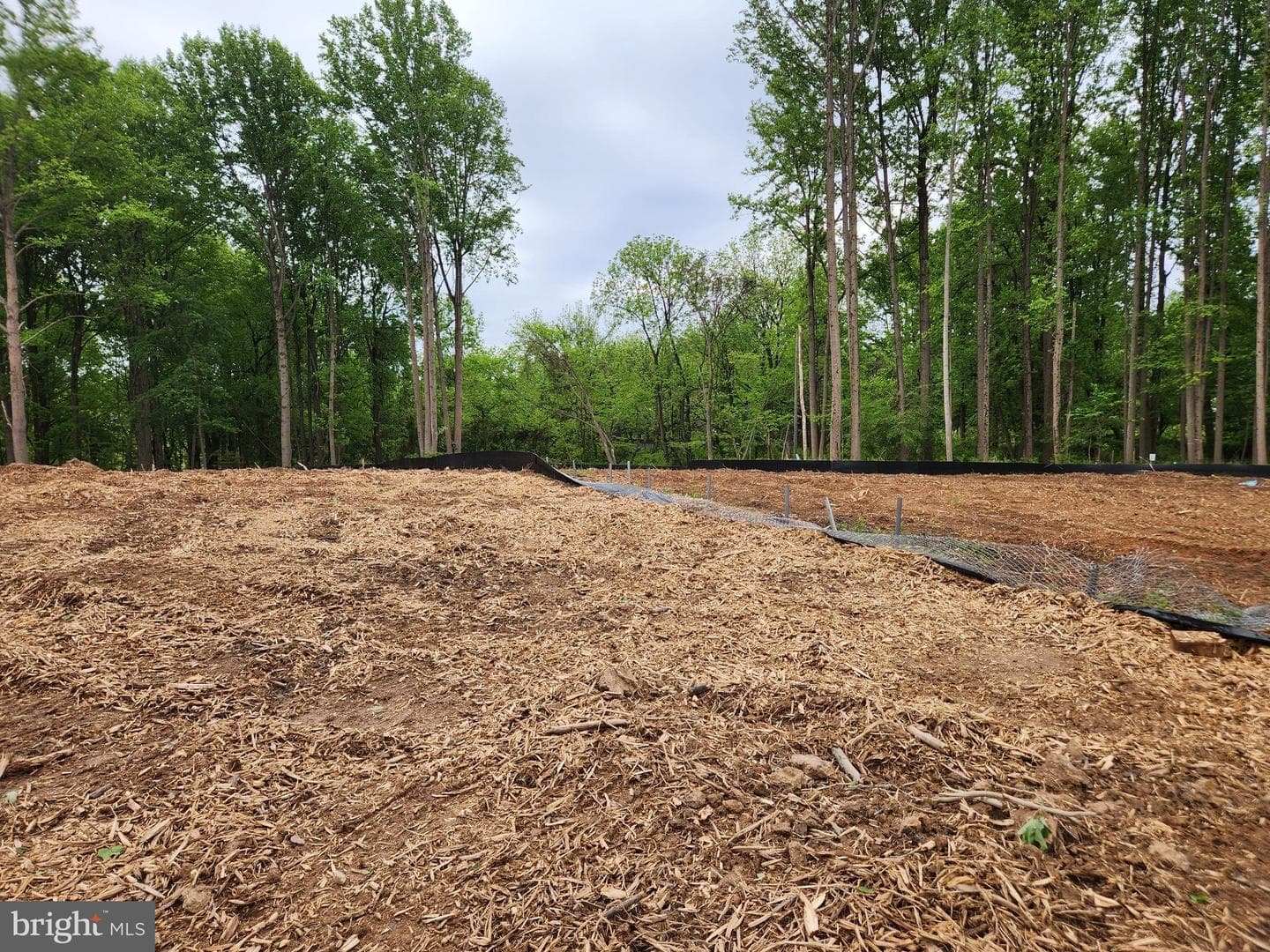 13823 Brighton Dam Road photo 34