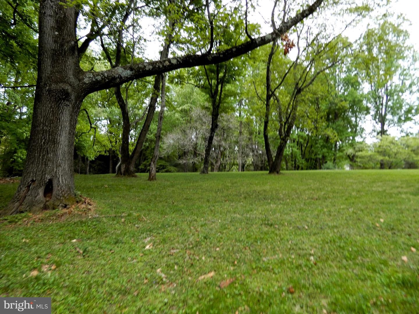 14170 Monticello Drive photo 25