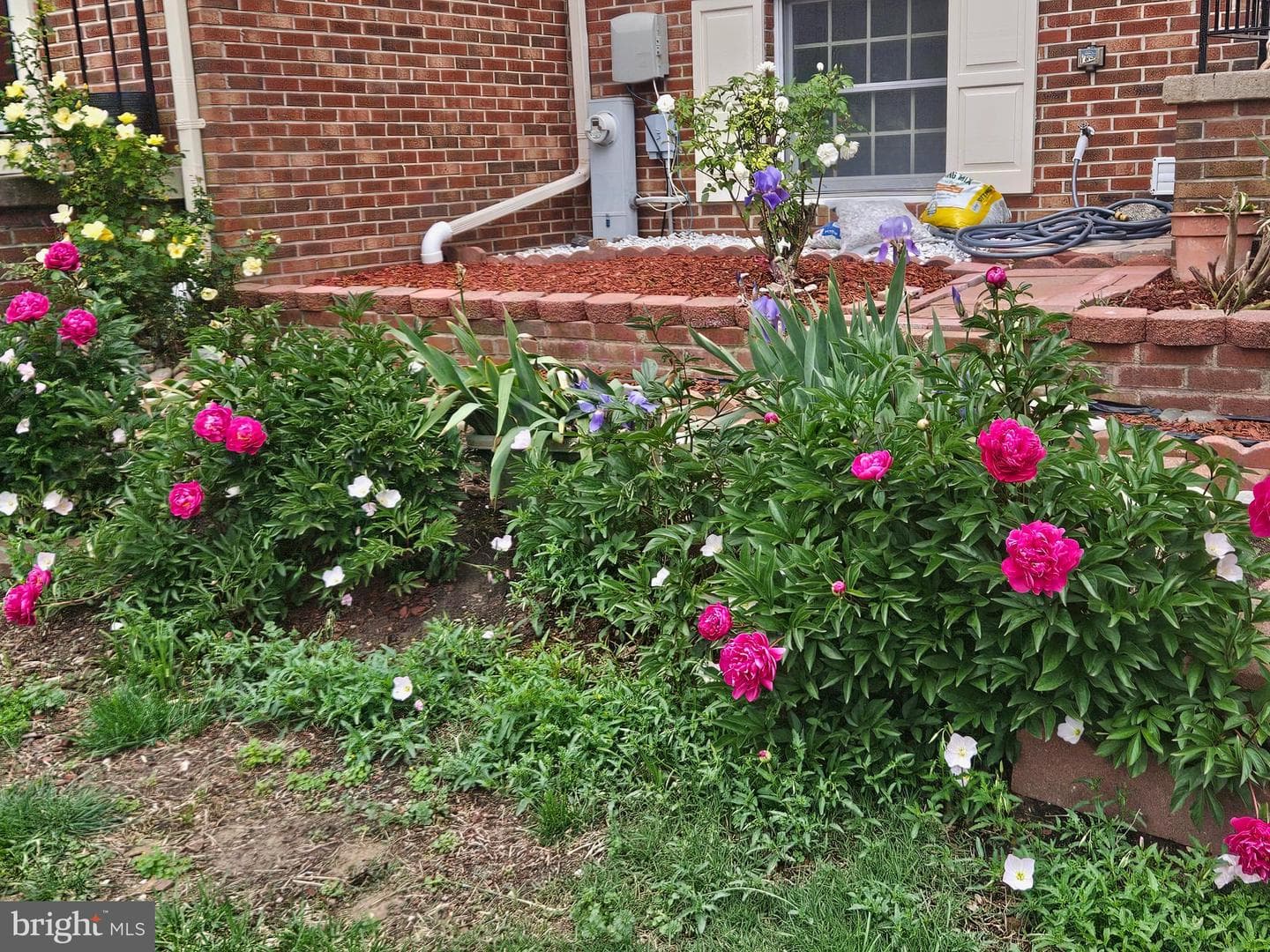 8009 Brightwood Court photo 4