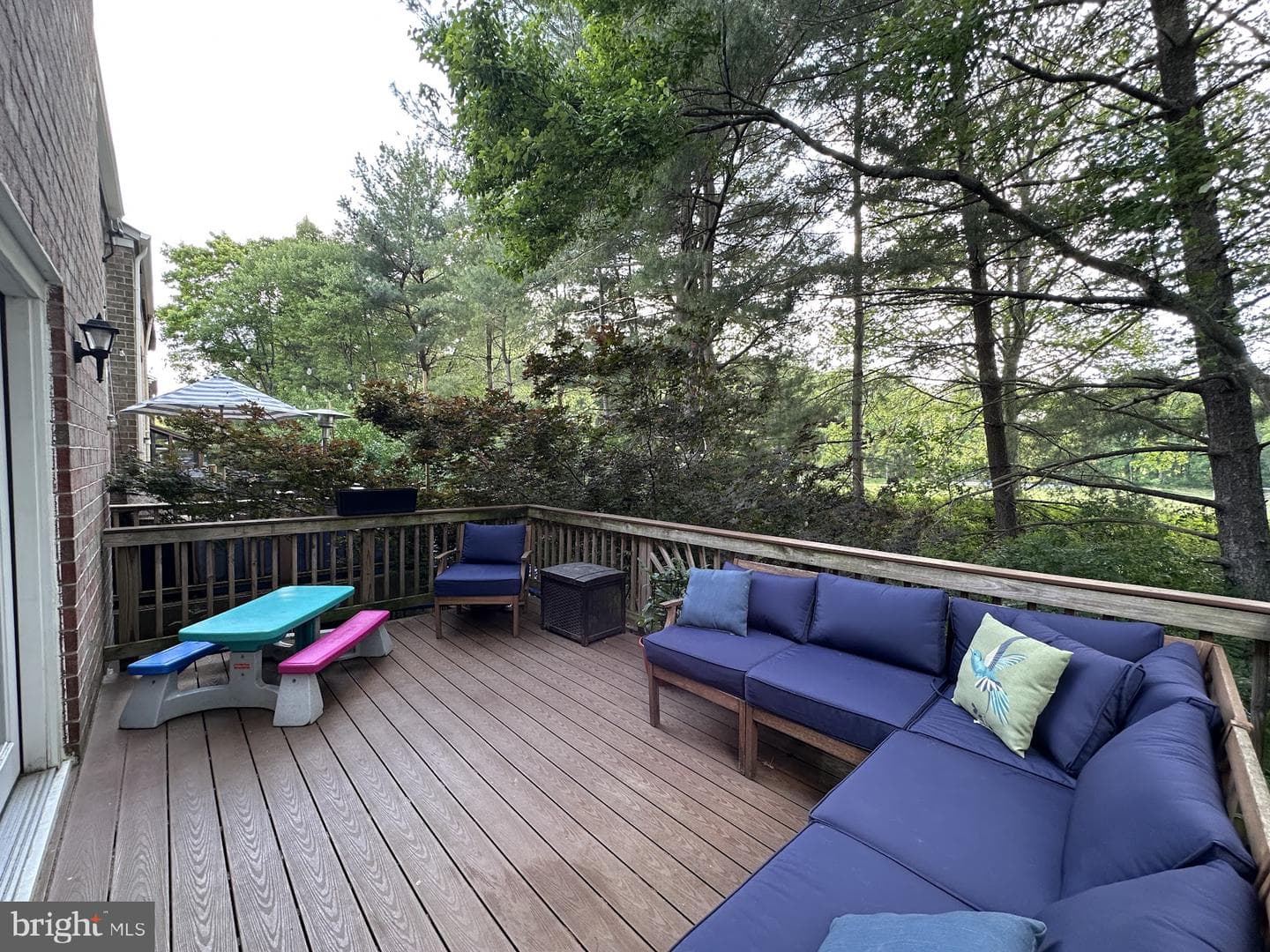 9767 Early Spring Way photo 15