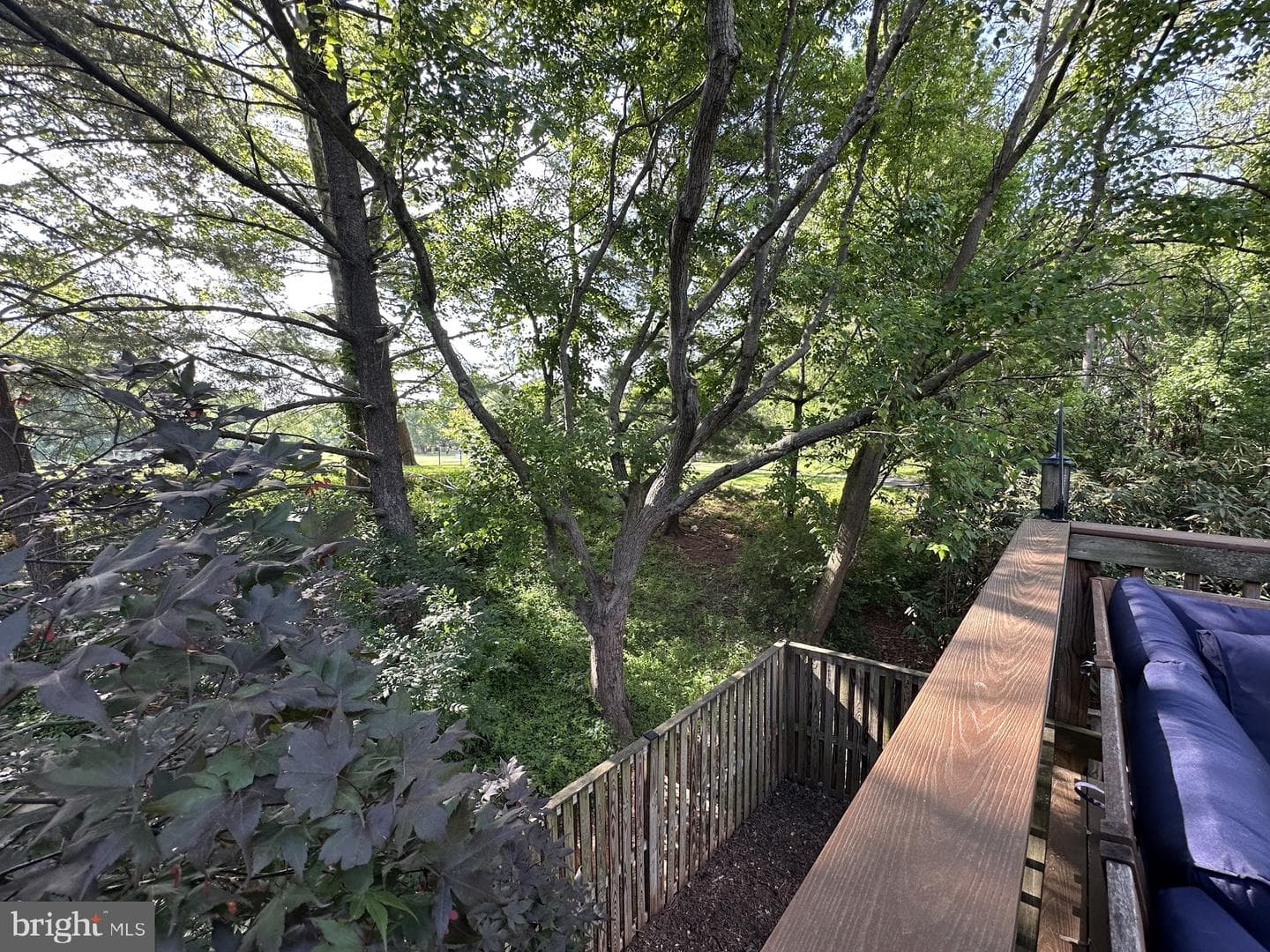 9767 Early Spring Way photo 17