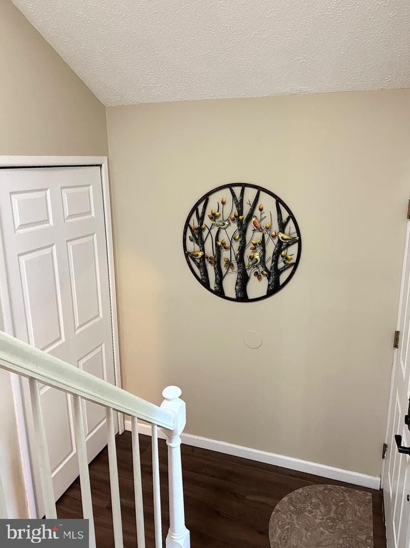 9767 Early Spring Way photo 18