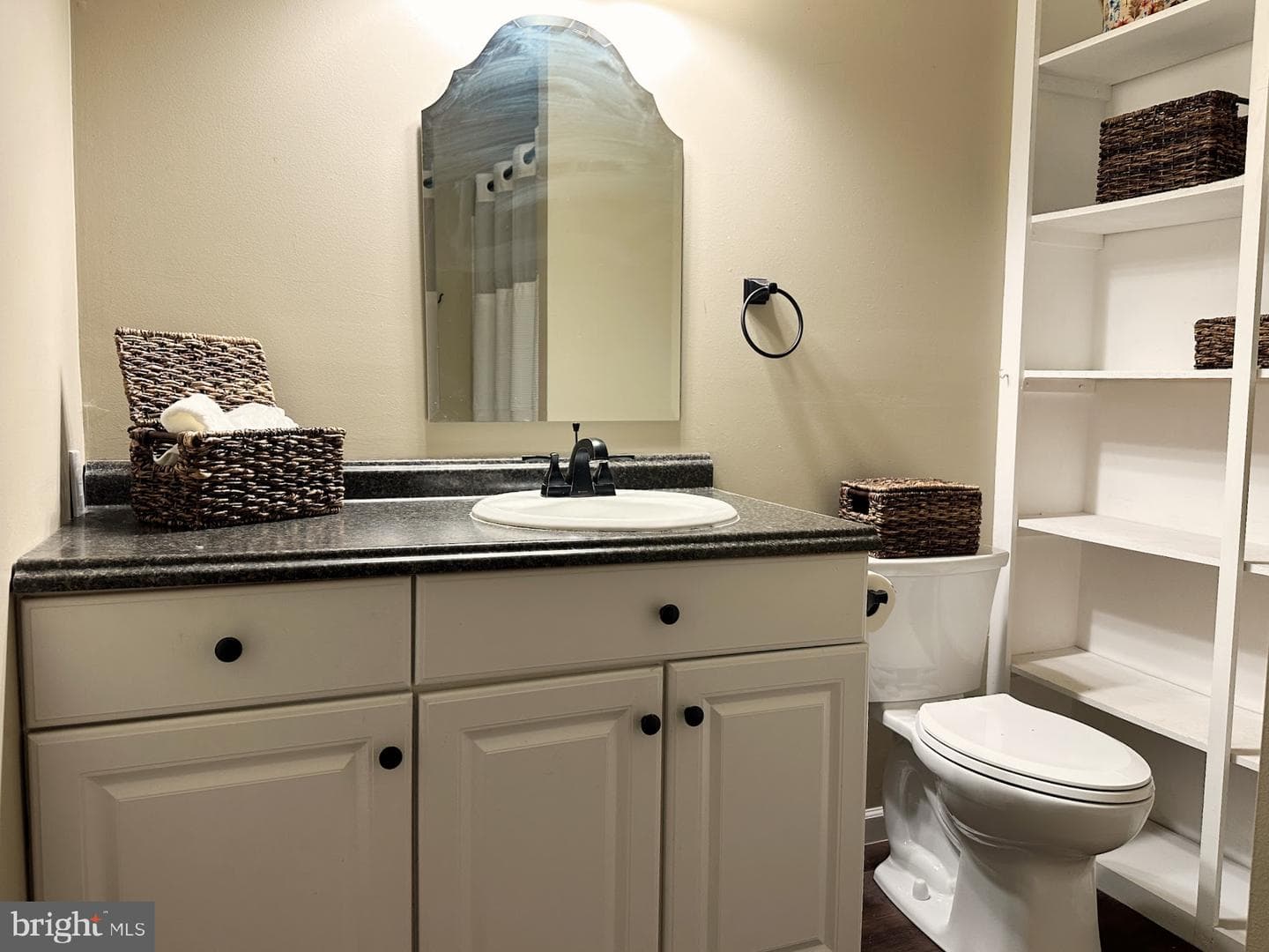 9767 Early Spring Way photo 23