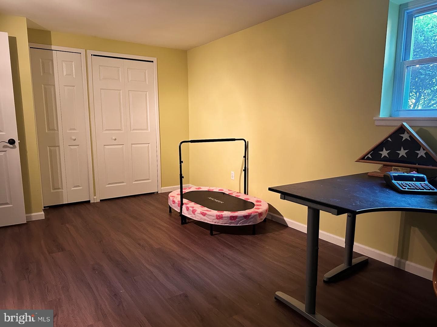 9767 Early Spring Way photo 39