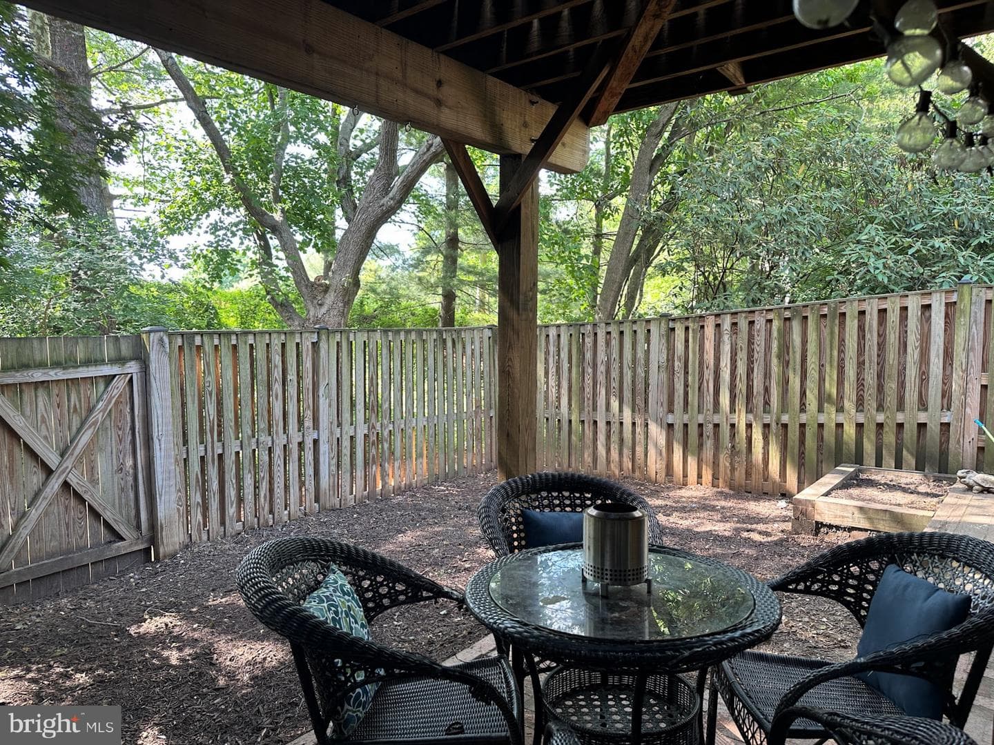 9767 Early Spring Way photo 41