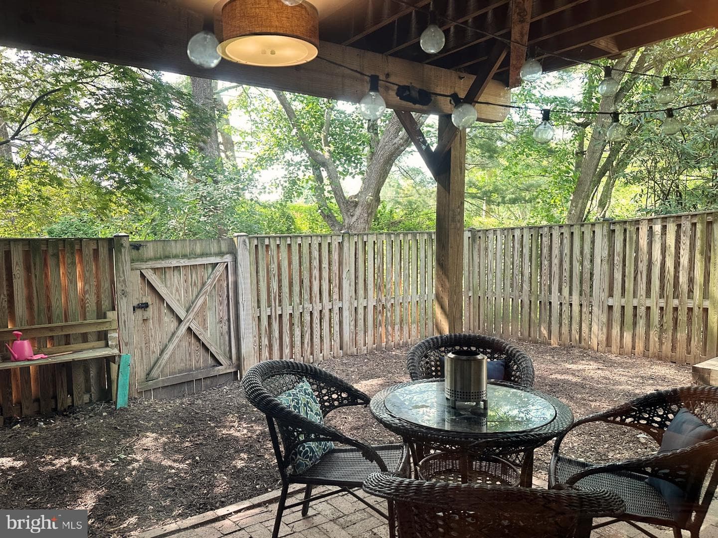 9767 Early Spring Way photo 42