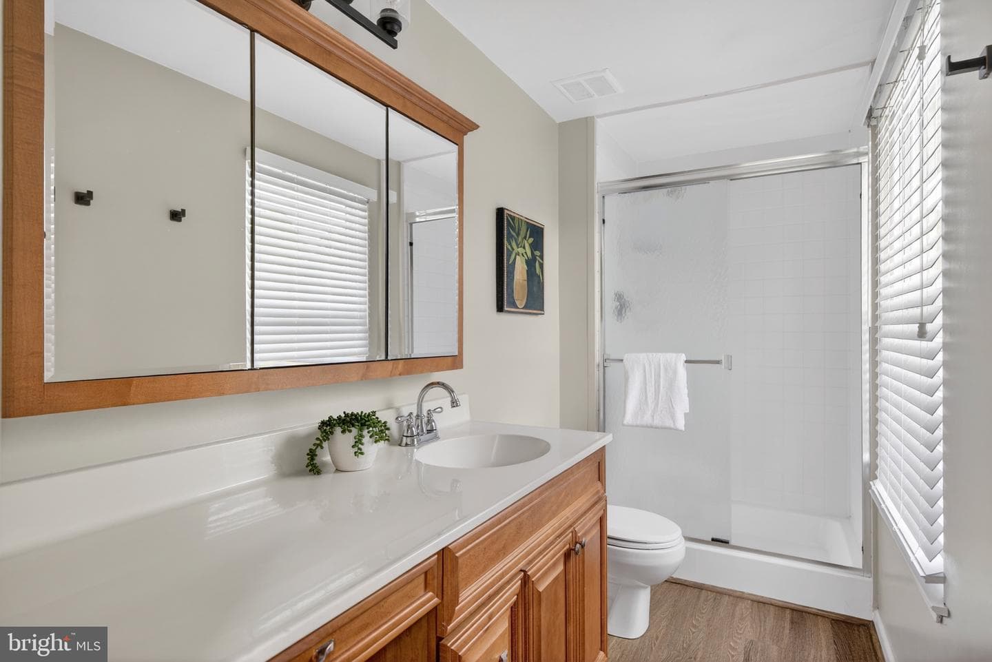 7853 Grassy Garth photo 29