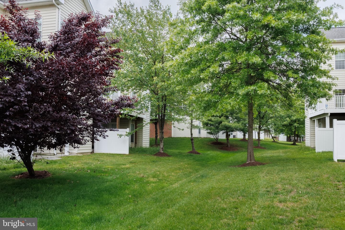 9850 Snow Bird Lane photo 52