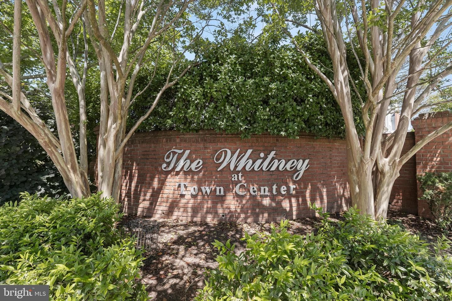 10714 Symphony Way E #206 photo 41