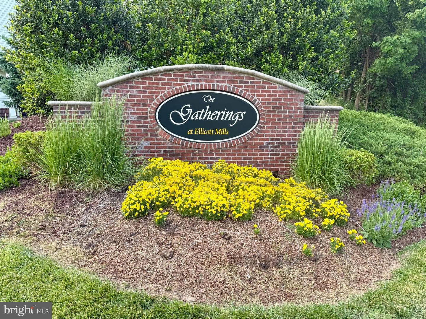 8501 Coltrane Ct # 407 photo 53