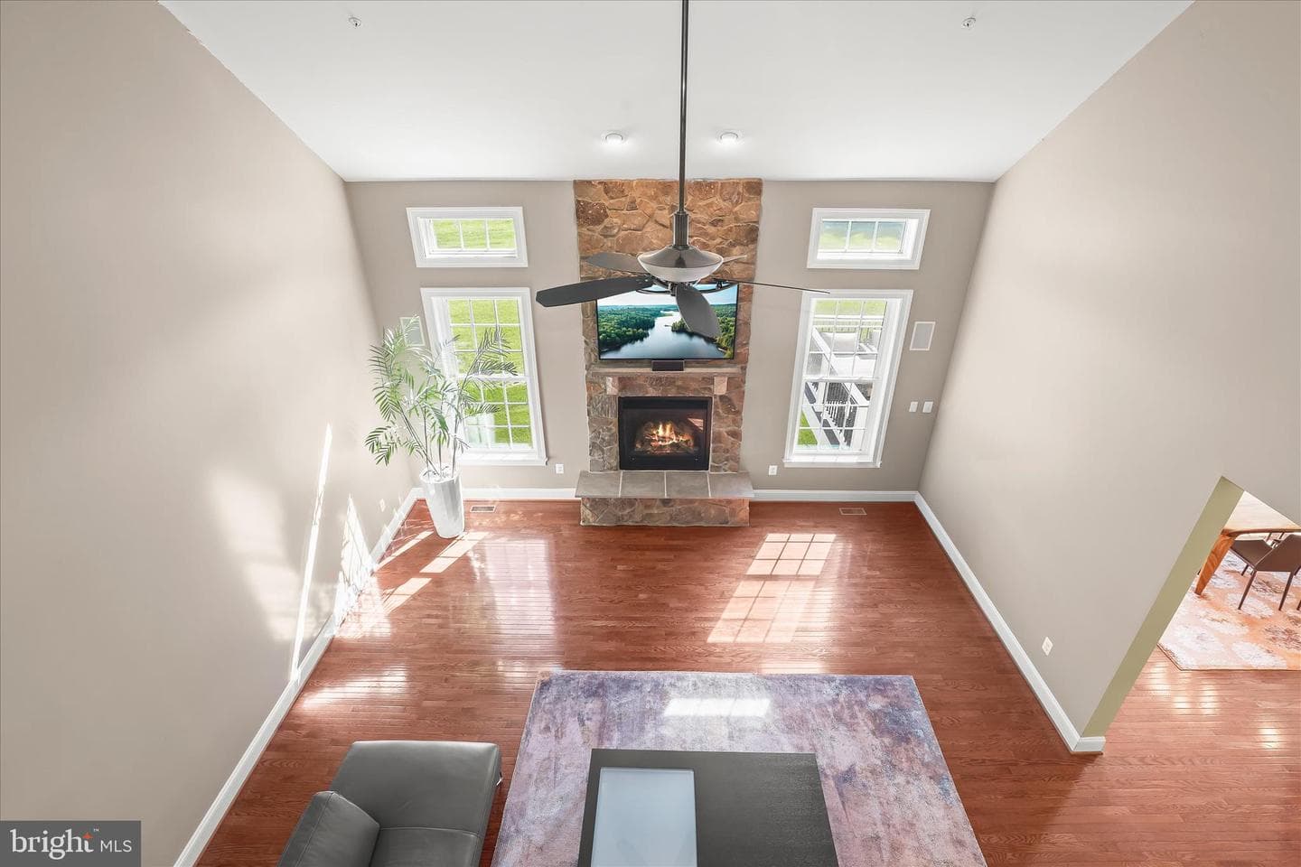 14935 Michele Drive photo 15