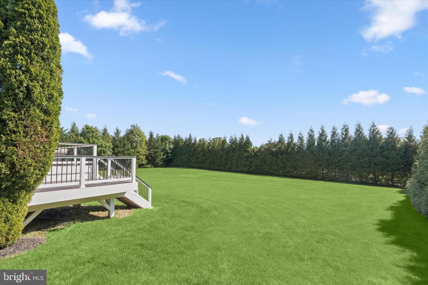 14935 Michele Drive photo 57