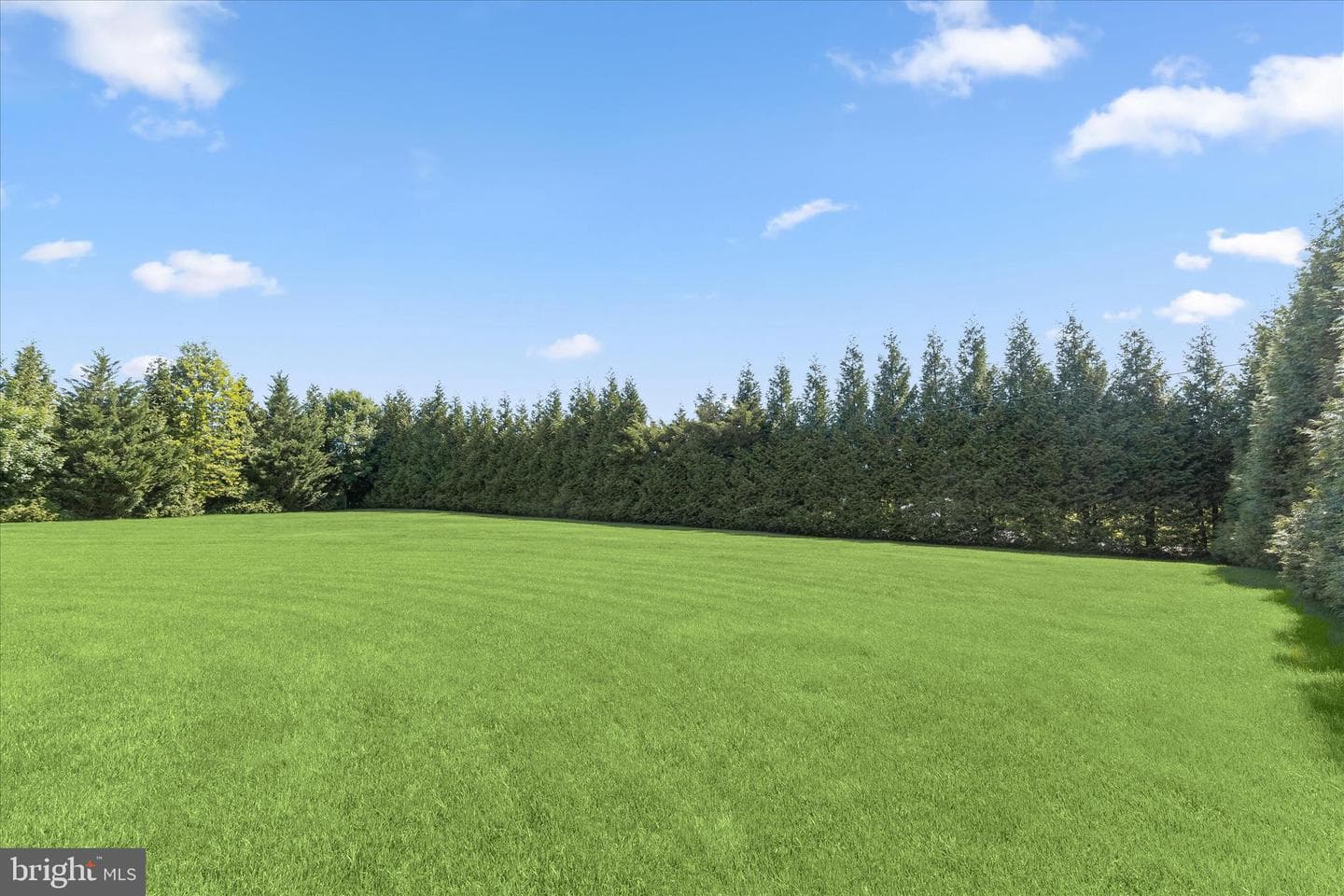 14935 Michele Drive photo 58