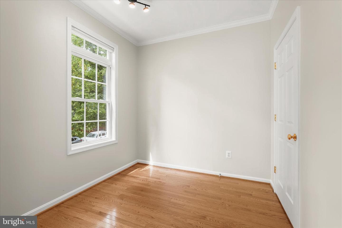 8876 Montjoy Place photo 20