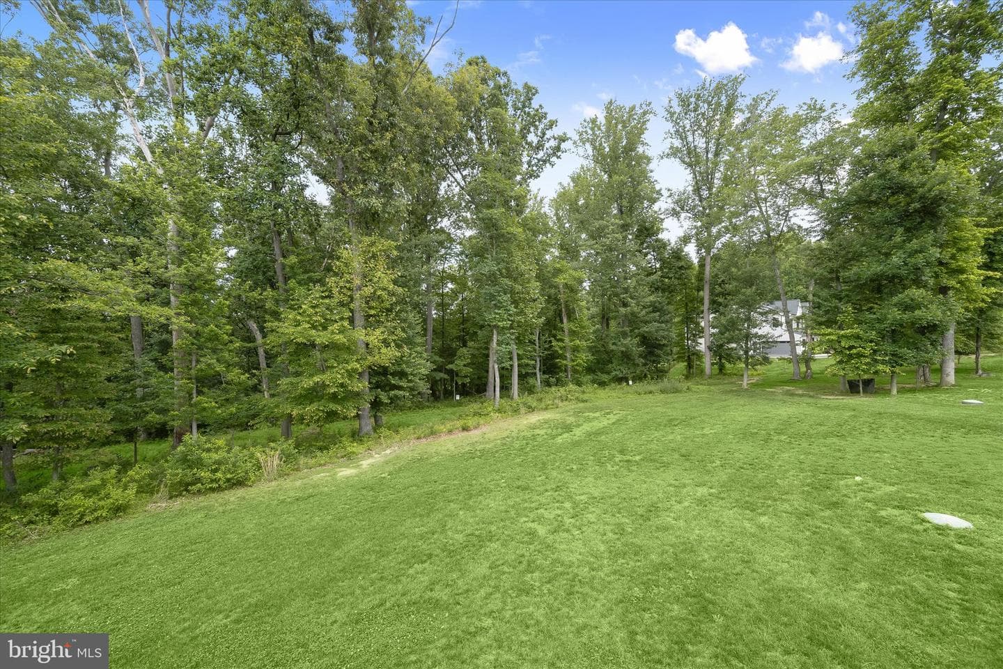 6505 Mare Court photo 123