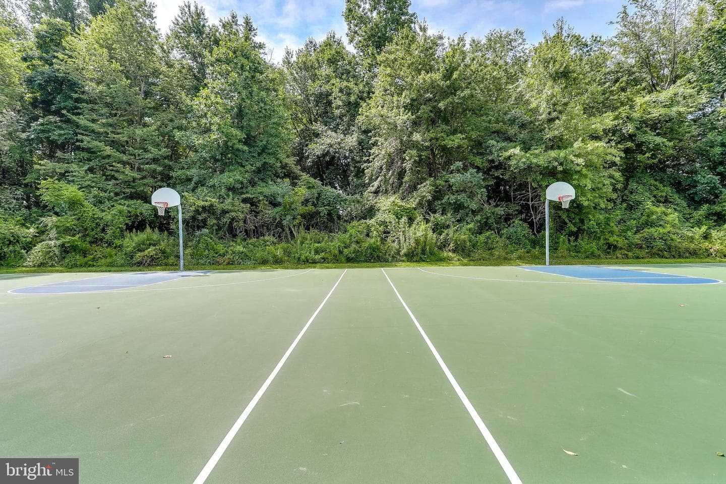 10751 Judy Lane photo 64
