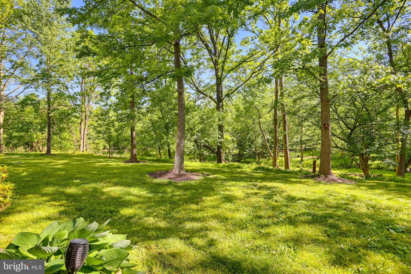 4986 Dorsey Hall Drive #c-2 photo 36