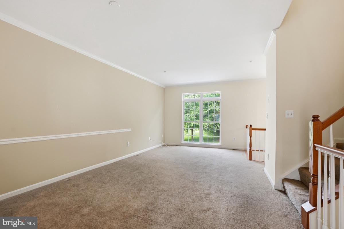 8910 Dawson Manor Drive photo 5