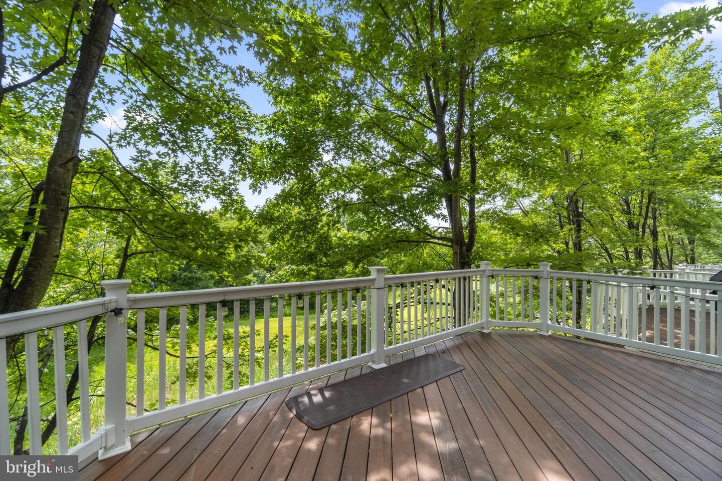 9505 Liverpool Lane #93 photo 35