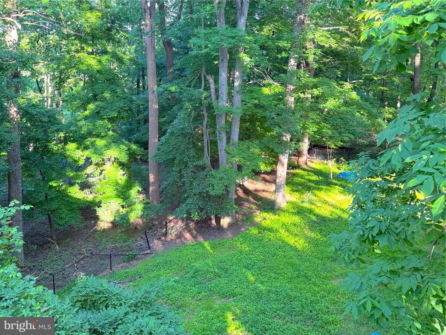 9006 Sidehill Road photo 52
