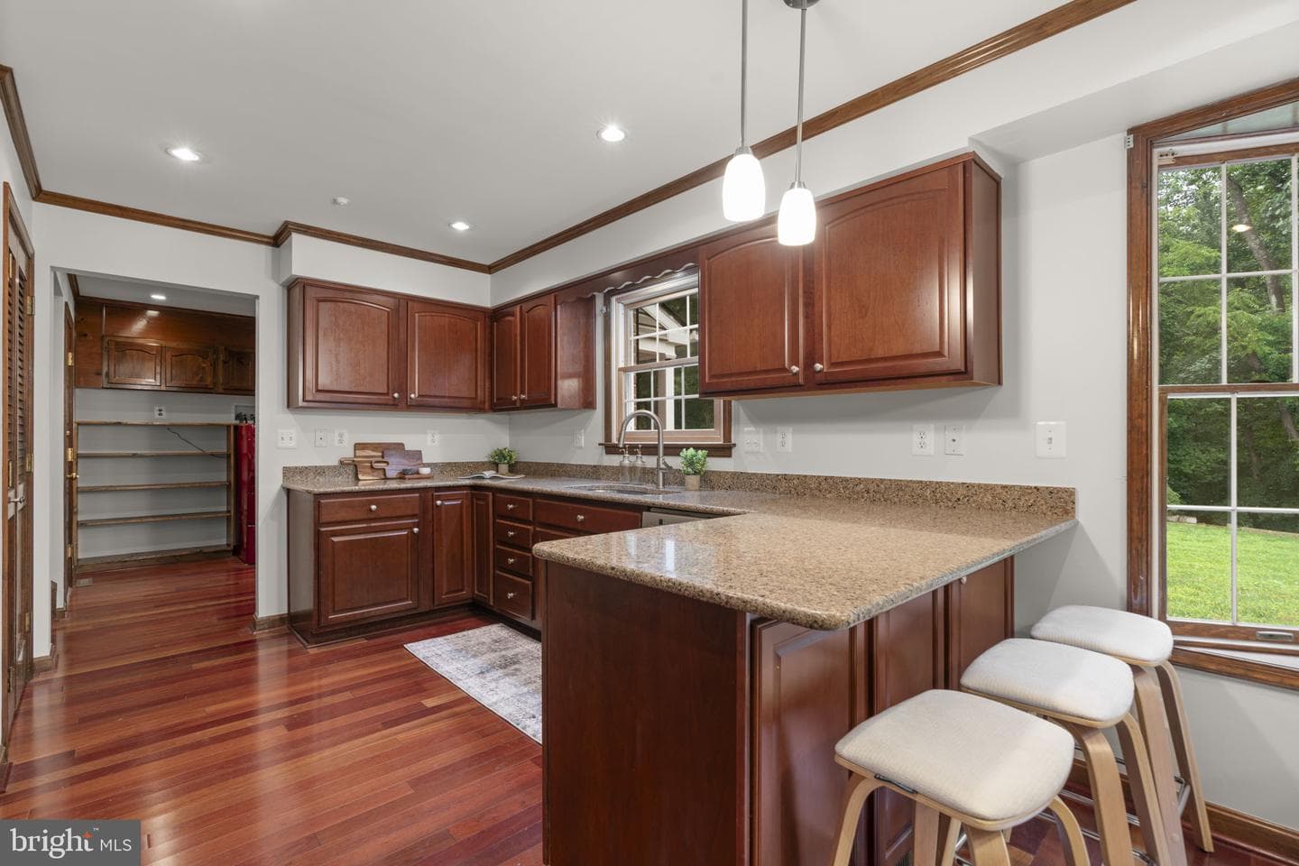 10054 Green Clover Drive photo 10