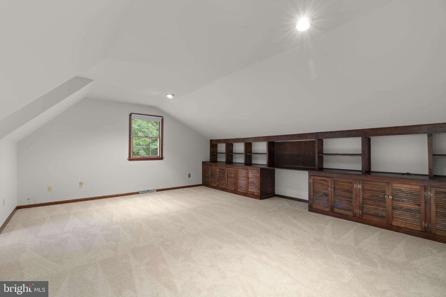 10054 Green Clover Drive photo 27